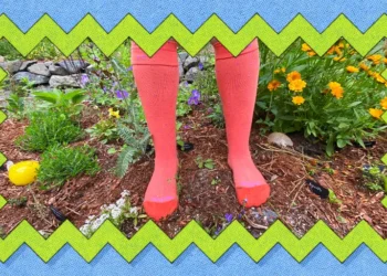 I Love These Compression Socks So Much I Bought a Dozen