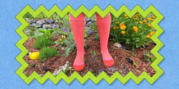 I Love These Compression Socks So Much I Bought a Dozen